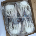 Best quality frozen cut swimming crab